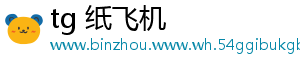 tg 纸飞机